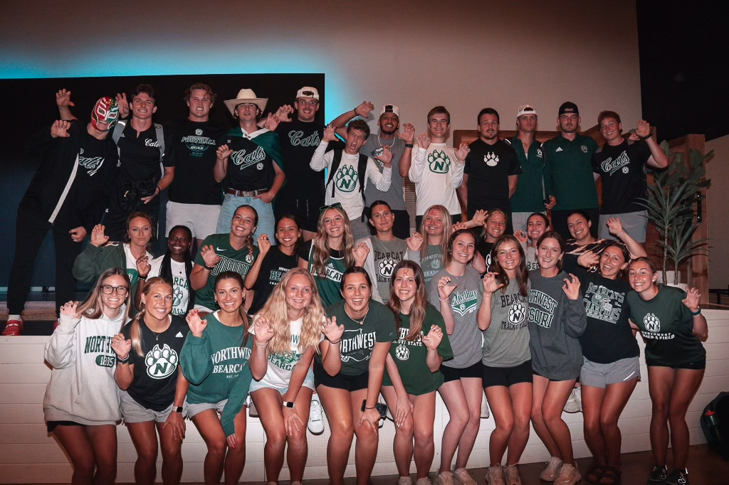 53956145811_d4843bbdf3_o